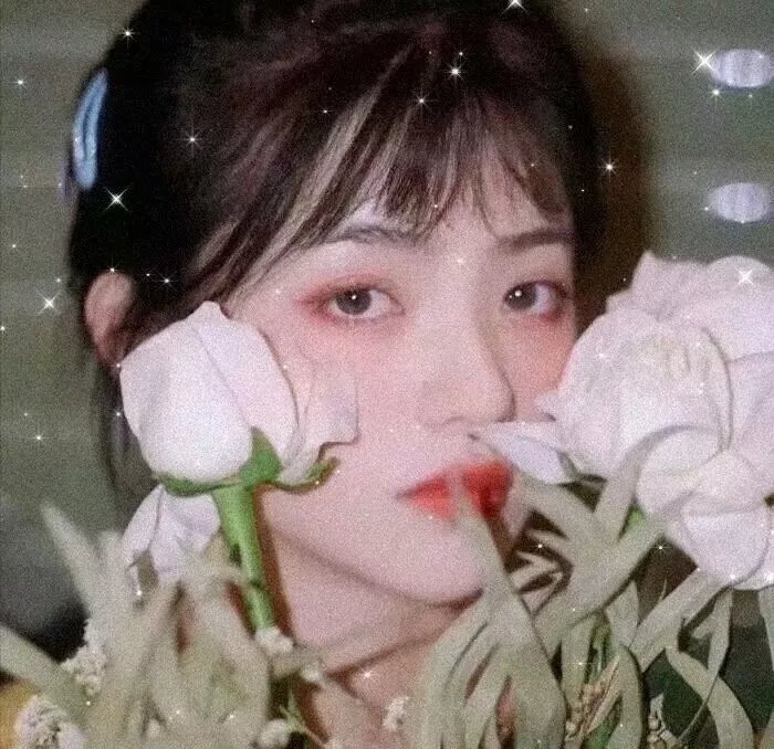 小麻雀